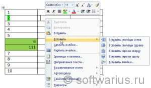 Word 2007, правой кнопкой мыши вставляем строчки