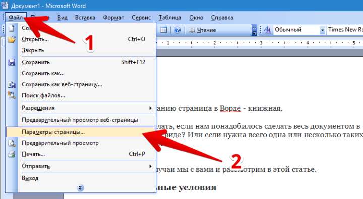 Горизонтальная ориентация в Word 2003