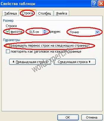 создание рамок на базе Microsoft Word 2003