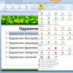 Как сделать список в Powerpoint