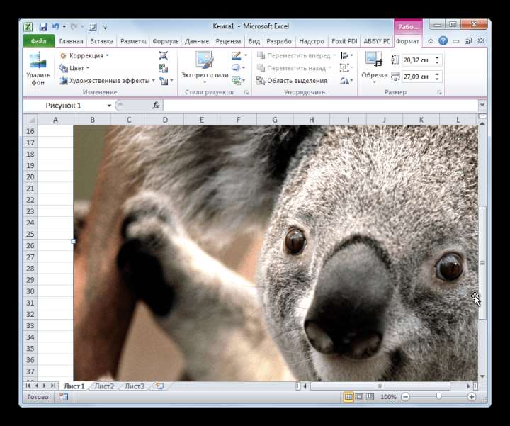 Расположение изображения на листе в Microsoft Excel