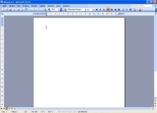 Microsoft Office Word 2003