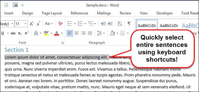 Как выделить предложение в Word