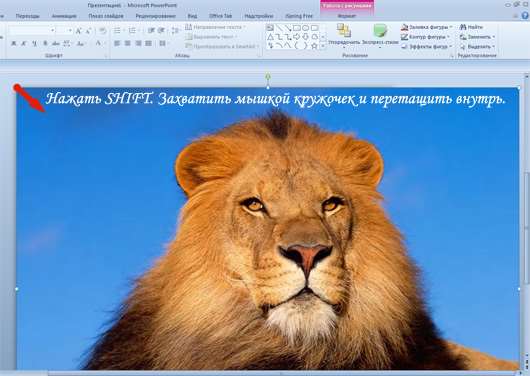 Уменьшение размера изображения в PowerPoint