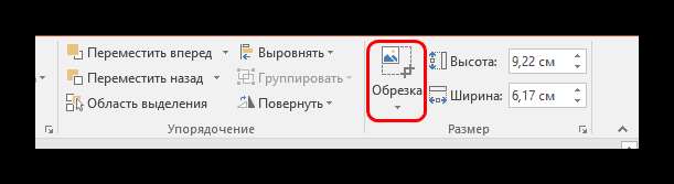 Обрезка в PowerPoint